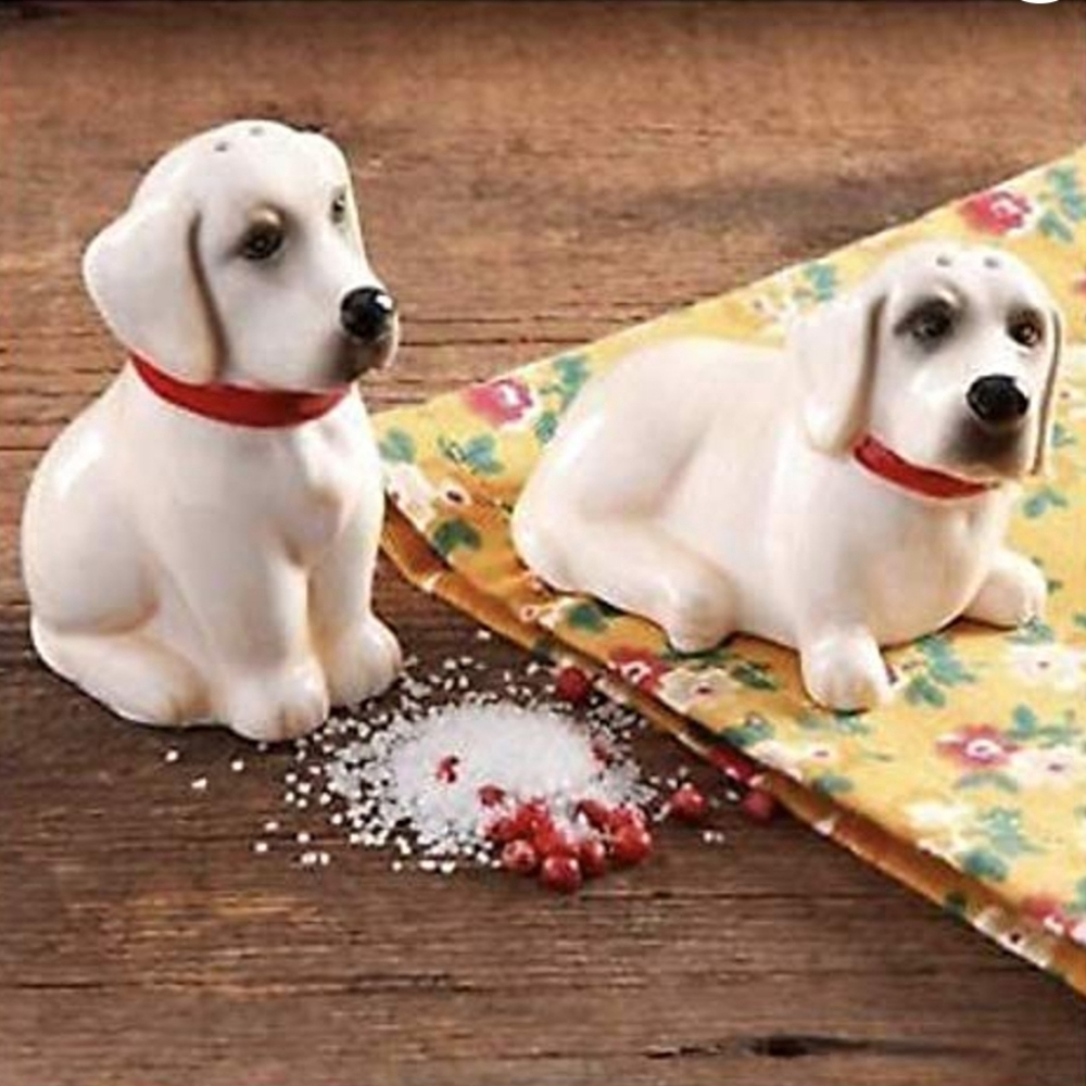 New Pioneer Woman Lucy & Duke Salt & Pepper Shakers
